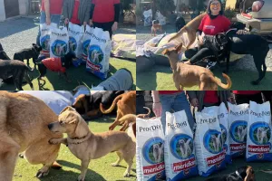 Meridian Volunteers: Χτίζουμε Ένα Κόσμο με Περισσότερες Ουρές που Κουνιούνται!