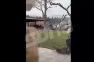 ΒΙΝΤΕΟ: Τα σοβαρά επεισόδια μεταξύ ΠΑΟΚτσήδων και ΑΕΚτζήδων στην Εθνική οδό