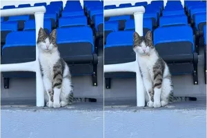Παιχνίδια... με τον φακό!