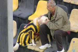 (ΒΙΝΤΕΟ) Η απόλυτη τρυφερότητα... στην εξέδρα του Άρη!