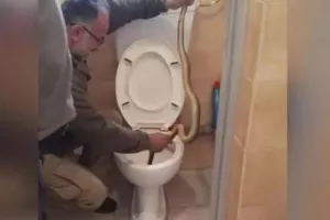 Φίδι μήκους ενός μέτρου είχε κάνει κατάληψη στην τουαλέτα οικογένειας!