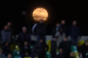 ΦΩΤΟ από Αρένα 