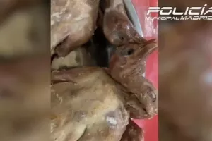 Σκάνδαλο με εστιατόριο στη Μαδρίτη – Έκλεισε επειδή πουλούσε περιστέρια για πάπιες, δείτε βίντεο