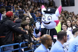  Νέες θέσεις εθελοντών για το FIBA EuroBasket 2025!