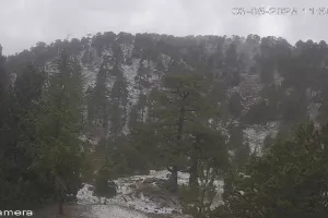 🌩️ Άσπρισε ελαφρώς το Τρόοδος!