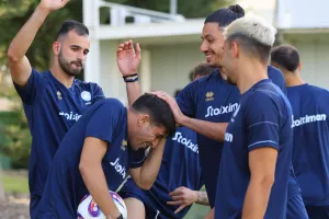 Έπεσε... ξύλο