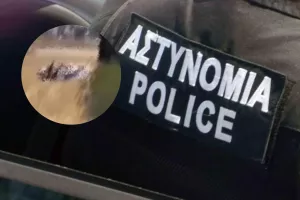 Αστυνομία για το βίντεο που διέρρευσε: "Φαίνεται να ανταποκρίνεται στην πραγματικότητα"