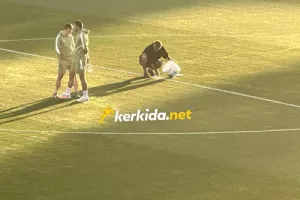 Τελευταία... πινελιά