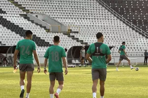 Γεύση...από "Παρτιζάνα" για ΑΕΚ (Βίντεο-Φώτος Kerkida)