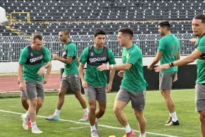 Γεύση...από "Παρτιζάνα" για ΑΕΚ (Βίντεο-Φώτος Kerkida)