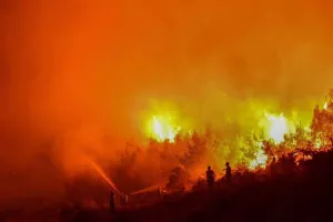 Οι ενέργειες των Μαχητών για τους πυρόπληκτους
