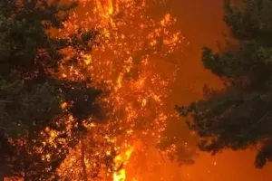 (Έκτακτο) Κάλεσμα για εκκένωση της περιοχής Βούναρος στον Ύψωνα