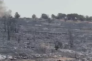 Εκτίμηση για 124 τετραγωνικά χιλιόμετρα καμένης γης στη Λεμεσό