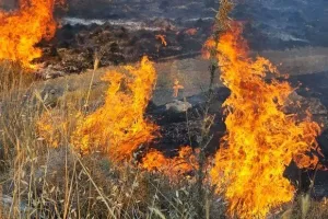 Πύρινος λογαριασμός: Το βαρύ οικονομικό τίμημα των πυρκαγιών