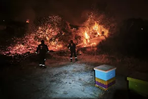 Σωματείο ΑΠΟΕΛ/ "Η σκέψη βρίσκεται δίπλα σε όλους τους συμπολίτες μας" 