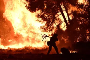 ΒΙΝΤΕΟ/Μια ανάσα από σπίτια οι φλόγες στον Ωρωπό – Ανεξέλεγκτη η μεγάλη φωτιά