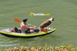 (Φώτος Kerkida) Σκύλος… κωπηλάτης 