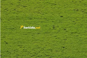 (Φώτος Kerkida) Σε κακή κατάσταση το γήπεδο της Τσέλιε - Σχολιάστηκε αρνητικά