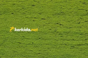 (Φώτος Kerkida) Σε κακή κατάσταση το γήπεδο της Τσέλιε - Σχολιάστηκε αρνητικά