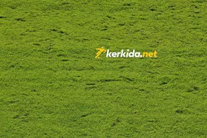 (Φώτος Kerkida) Σε κακή κατάσταση το γήπεδο της Τσέλιε - Σχολιάστηκε αρνητικά