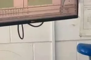 Εργομετρικά / Γιασσίν Μπαχάσα
