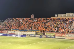 Πορτοκαλί...πέταλο!