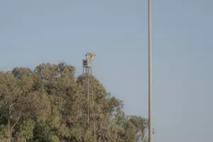 Κλικς από την προπόνηση της Αναγέννησης
