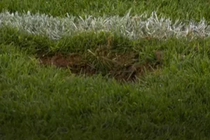 Αυστρία-Κύπρος με... ΜΕΓΑΛΗ τρύπα και κουβάδες! (BINTEO Kerkida/φώτος)