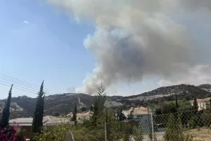 Φωτιά στη Μουτταγιάκα (Φώτος)