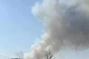 Φωτιά στη Μουτταγιάκα (Φώτος)