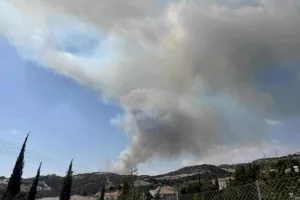 Φωτιά στη Μουτταγιάκα (Φώτος)