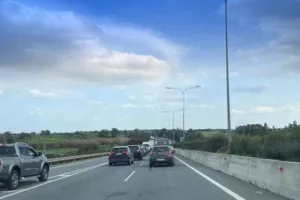 (UPD) Εντοπίστηκαν τα αιγοπρόβατα 