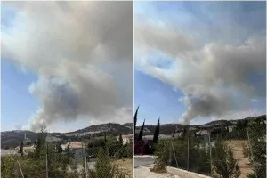 Φωτιά στη Μουτταγιάκα (Φώτος)