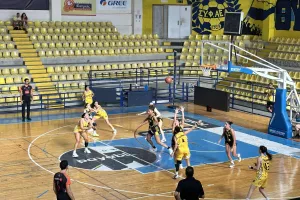 Το...σήκωσε η Cowin ΑΕΛ! (ΒΙΝΤΕΟ/Φώτος Kerkida)