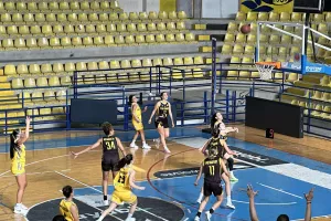 Το...σήκωσε η Cowin ΑΕΛ! (ΒΙΝΤΕΟ/Φώτος Kerkida)