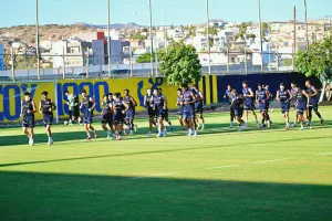 7 "εσωτερικές μεταγραφές"!