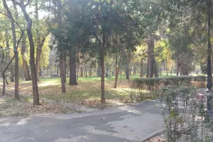 Περιστέρια... (Καζακστάν)