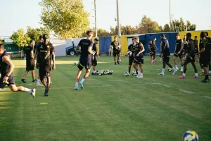 ΑΕΛ/Ανάρτηση για το κύπελλο 