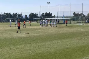 Πράσινο διπλό