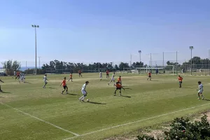 Πράσινο διπλό