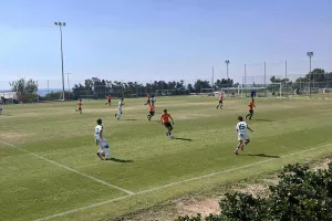 Πράσινο διπλό
