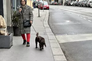 Οι ομορφιές της Βιέννης (Φώτος)