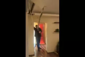(Βίντεο) Ήττα από την Στεάουα και... βανδαλισμοί από τους οπαδούς της Φέγενορντ