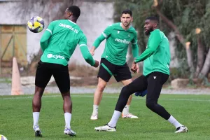 (Φώτος) "Πράσινοι" σε δράση