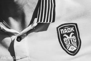ΣΦ ΠΑΟΚ: «Δεν υπάρχουν λόγια να εκφράσουμε τον πόνο μας» - Η απόφαση για Λυών και Θύρα 4