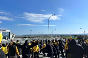 Άφιξη... λεόντων/ΦΩΤΟΣ