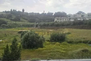 Επέστρεψαν!