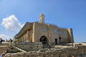 Οργανωμένοι ΑΠΟΕΛ/"Του χρόνου στον Απόστολο Αντρέα..."
