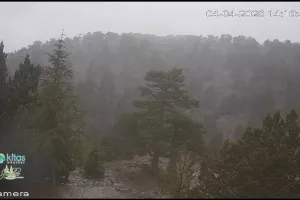 🌨️ Χιονίζει