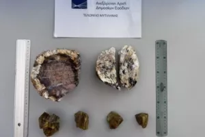Ολλανδοί έκλεψαν κομμάτια από το Απολιθωμένο Δάσος και επιχείρησαν να τα περάσουν από το αεροδρόμιο